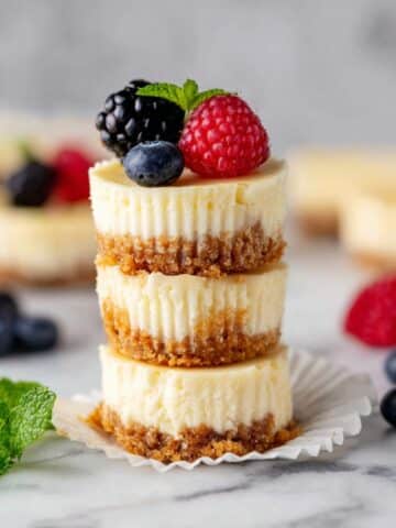 Mini Protein Cheesecakes with Greek Yogurt and a Graham Cracker Crust Recipe