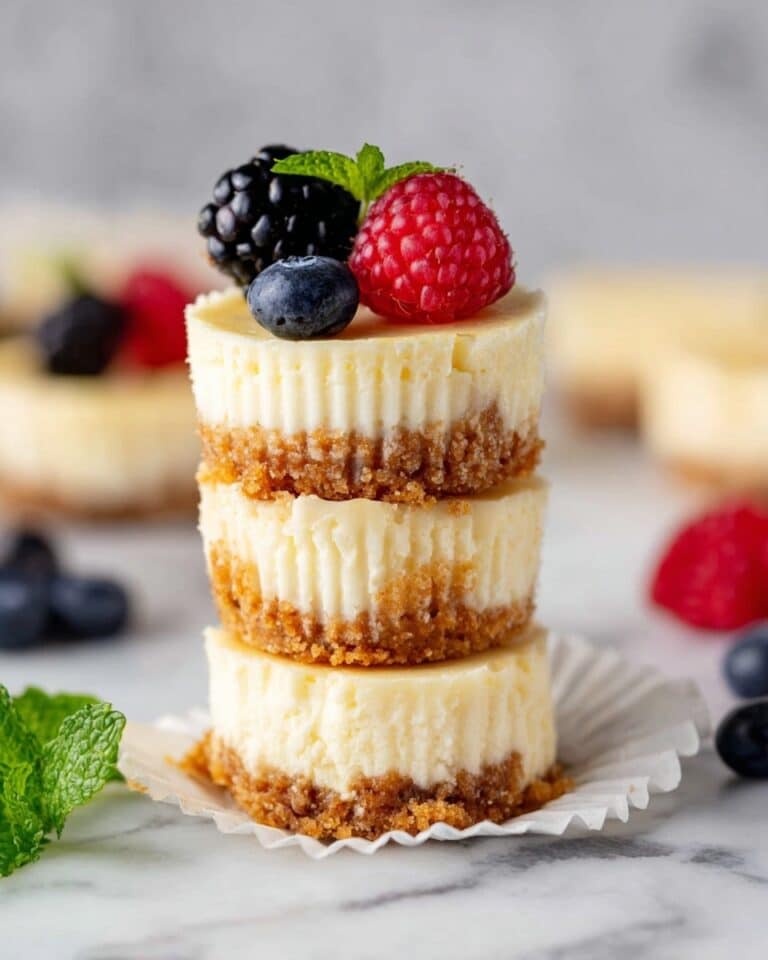 Mini Protein Cheesecakes with Greek Yogurt and a Graham Cracker Crust Recipe