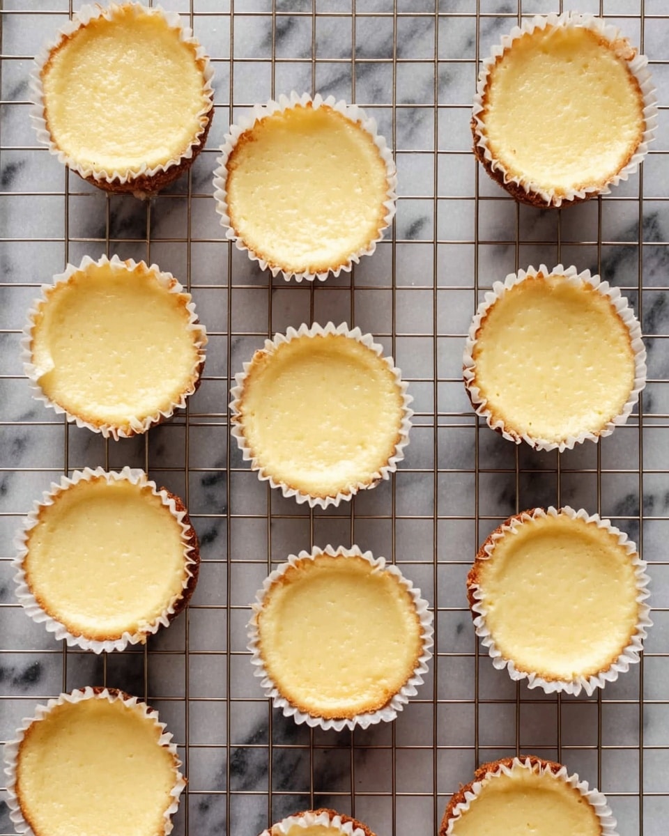 A top view of eleven small cheesecake cups arranged randomly on a cooling rack over a white marbled surface. Each cheesecake cup has a light golden color with smooth creamy tops and slightly browned edges in white paper liners. The cheesecakes look soft and evenly baked, with no visible toppings or decorations. Photo taken with an iphone --ar 4:5 --v 7