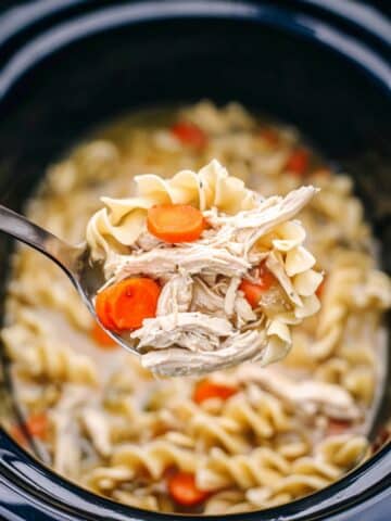 Slow Cooker Chicken Noodle Soup Recipe