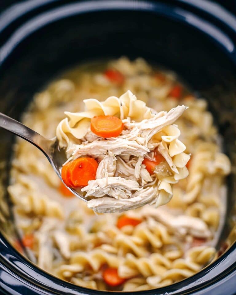 Slow Cooker Chicken Noodle Soup Recipe