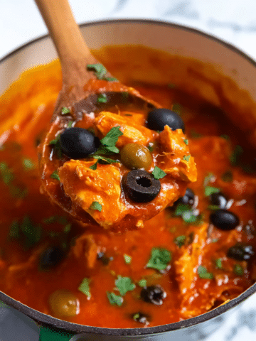 Spanish Chicken Stew Recipe