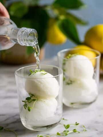 Thyme-Infused Lemon Sorbet with Gin & Tonic Recipe