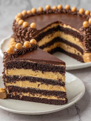 Chocolate Chestnut Cake with Mousse, Ganache, and Chocolate Garnish Recipe