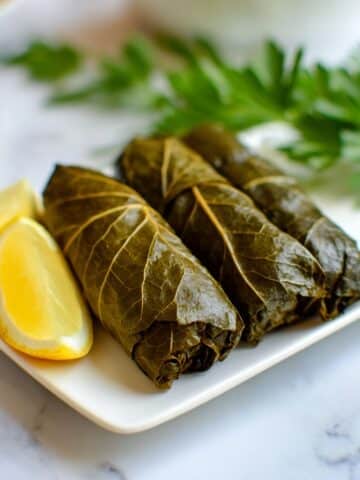 Stuffed Grape Leaves with Rice, Herbs, Pine Nuts, and Lemon Recipe