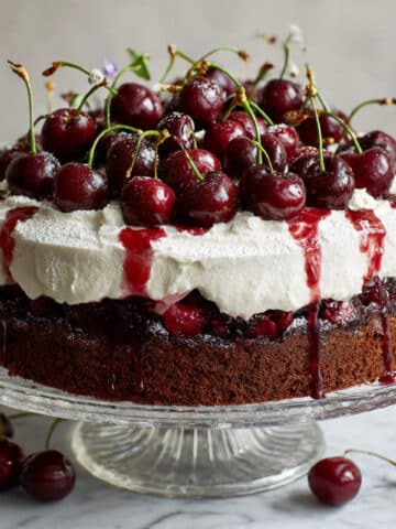 Black Forest Cheesecake Recipe