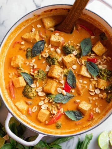 Vegan Panang Curry with Tofu & Vegetables Recipe