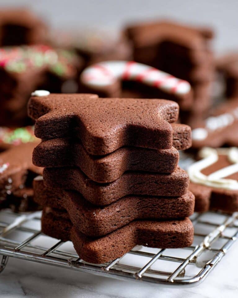 Cut Out Chocolate Sugar Cookies Recipe
