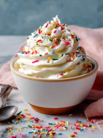 Homemade Frozen Yogurt Recipe