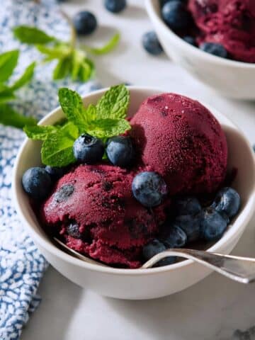 Blueberry Sorbet with 3 Ingredients Recipe