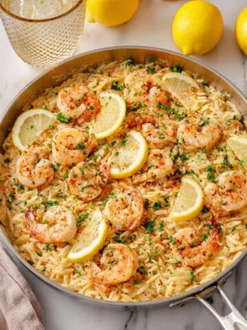 Shrimp Scampi Orzo Recipe